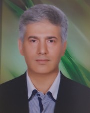 محمد شیرازی