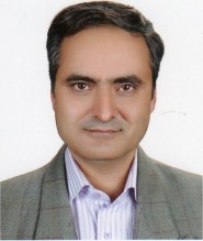 Hossein Firouzi