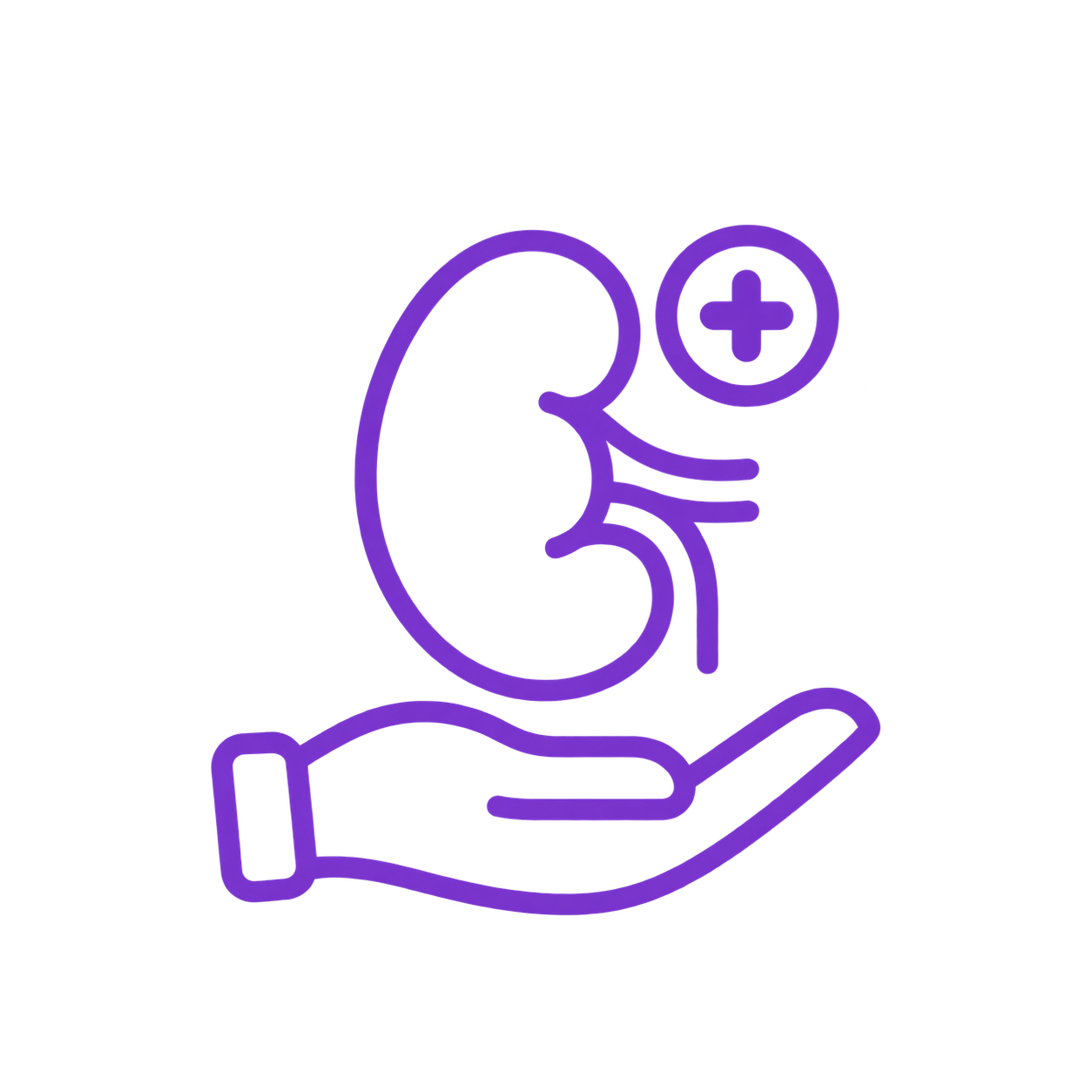 پیوند کلیه